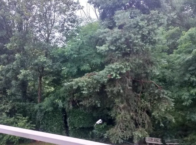 Maggiore 2 Minutes *